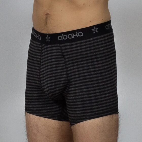 Boxer Bob rayé