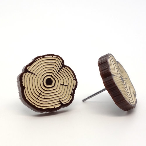 Tree slice earrings