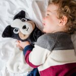 Doudou chien Bernard