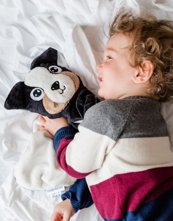 Doudou chien Bernard