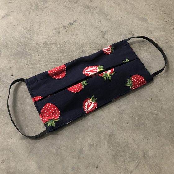 Masque de protection de fabrication artisanale réversible et unisexe pour adultes-Masq adult mel / frais