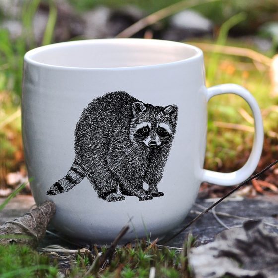 Tasse moyenne raton-laveur