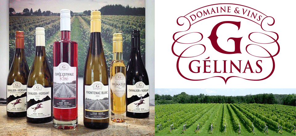 En plus de leur gamme variée de vins de grande qualité, le vignoble Domaine & Vins Gélinas vous offre également vinaigrettes, confits d'oignon, etc.