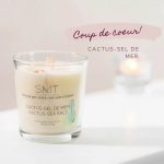 Chandelle et kit de semences Cactus sel de mer