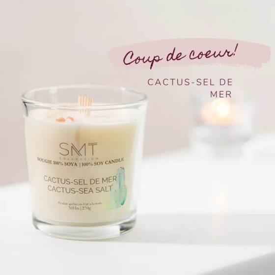 Chandelle et kit de semences Cactus sel de mer