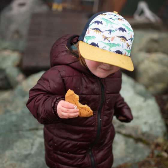 Casquette pour bambin Dinosaures