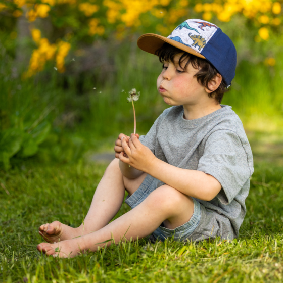 Casquette pour enfant Jurassique