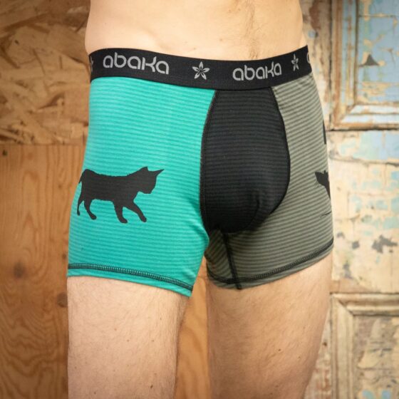 Boxer Bob chat-rat rayé aqua