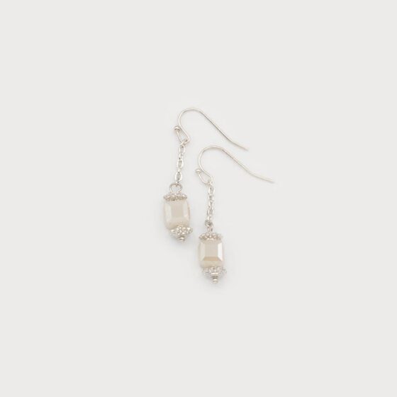 Boucles d'oreilles délicates sur crochet Argent
