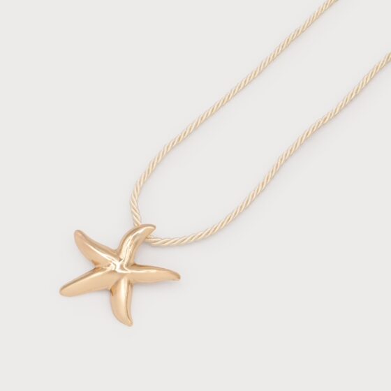 Pendentif étoile de mer