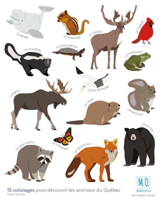 Cahier à colorier Animaux du Québec