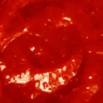 Sauce piquante - Le fruit défendu